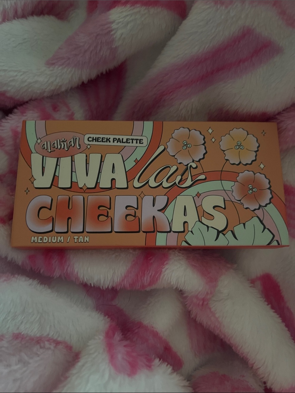 Cheek Palette